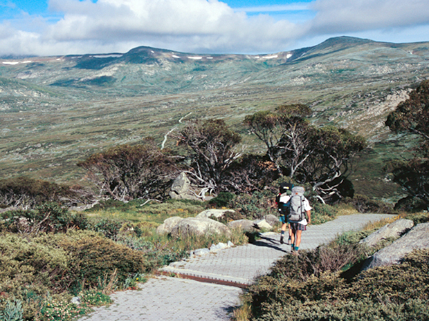 TSM-Hiking-in-Koscisoko-National-Park.jp