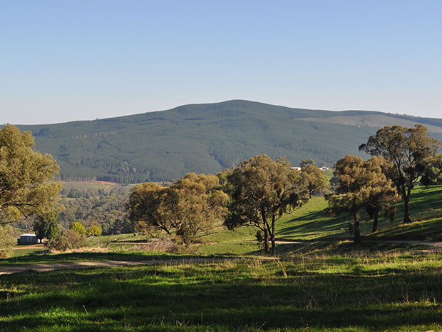 TSM-Tumbarumba.jpg#asset:3677