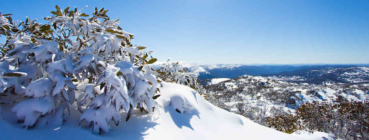 Perisher Valley