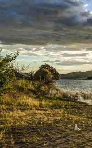 Jindabyne
