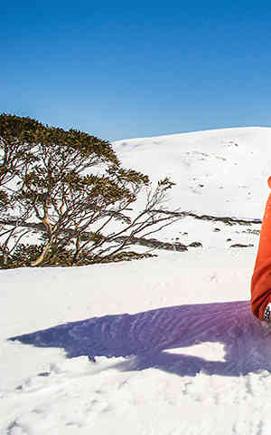 Charlotte Pass