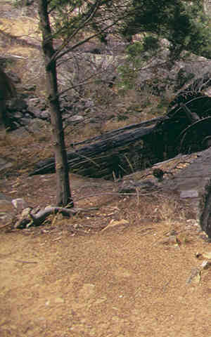 Adelong