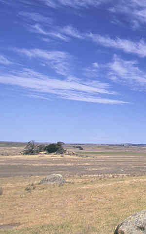 Berridale