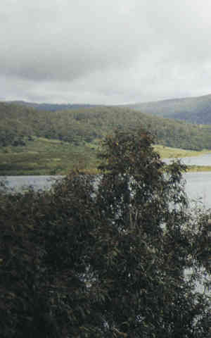 Adaminaby