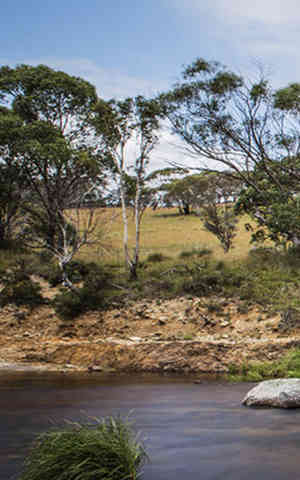 Thredbo