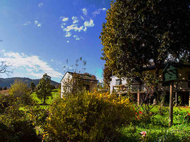 Elm Cottage