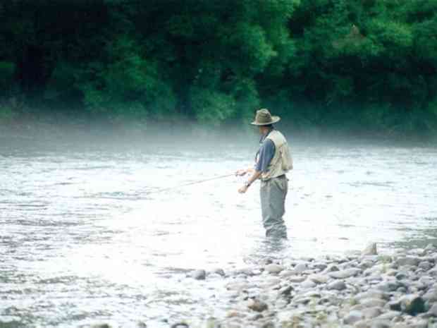 Ribbonwood Cottages & Tumut River Cottages