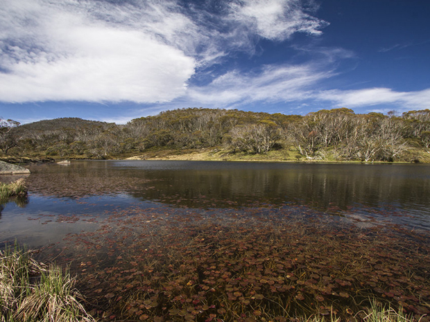 TSM-Rainbow-Lake.jpg#asset:3589