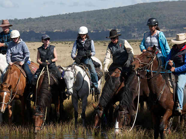 Cochran Horse Treks