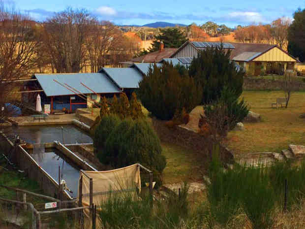 Eucumbene Trout Farm