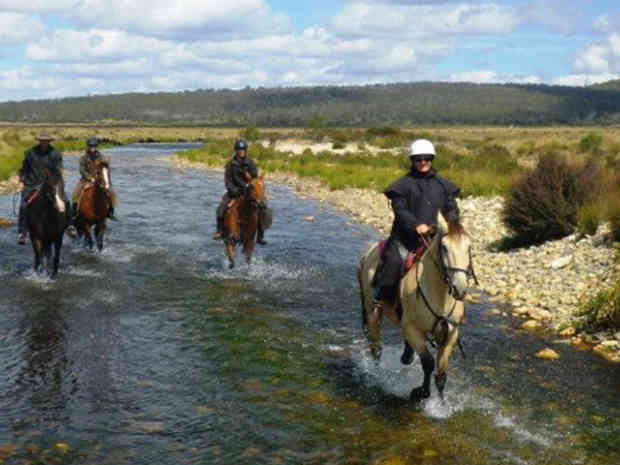 Reynella Kosciusko Rides